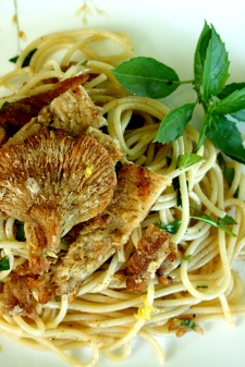 Oyster Mushrooms with Herbed and White Wine Pasta