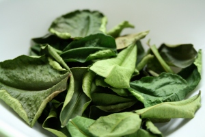 kaffir lime leaves add a nice aroma to curry dishes