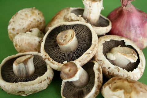 Baby Portobello Mushrooms